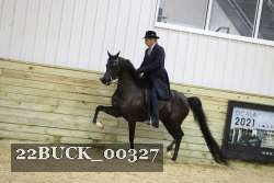 22BUCK_00327 proof