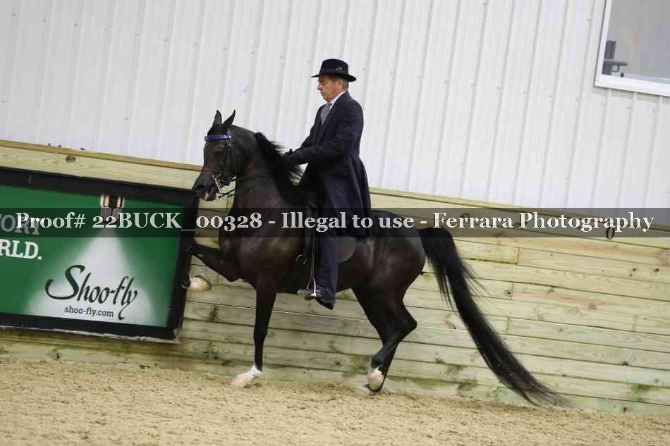 Proof 22BUCK_00328