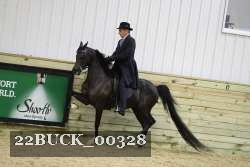 22BUCK_00328 proof
