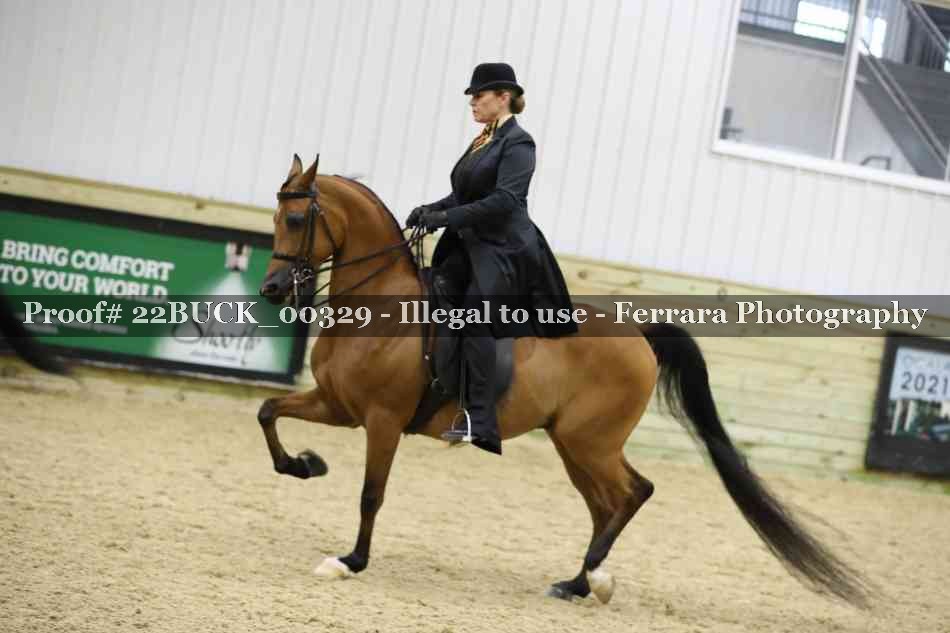 Proof 22BUCK_00329