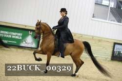22BUCK_00329 proof