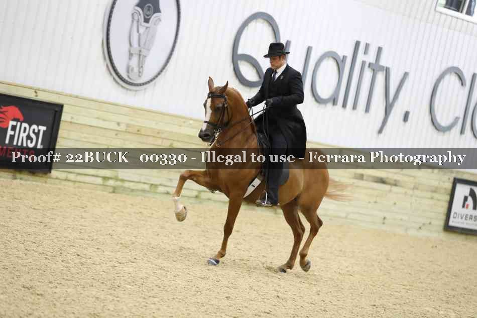 Proof 22BUCK_00330