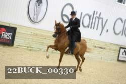 22BUCK_00330 proof
