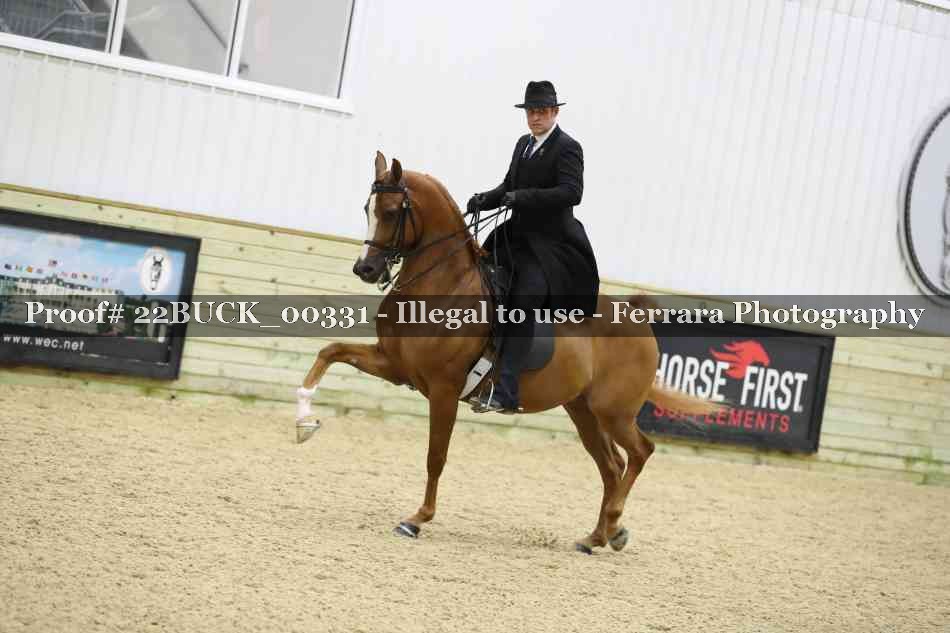Proof 22BUCK_00331