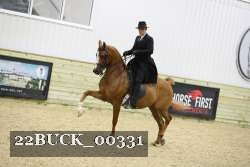22BUCK_00331 proof