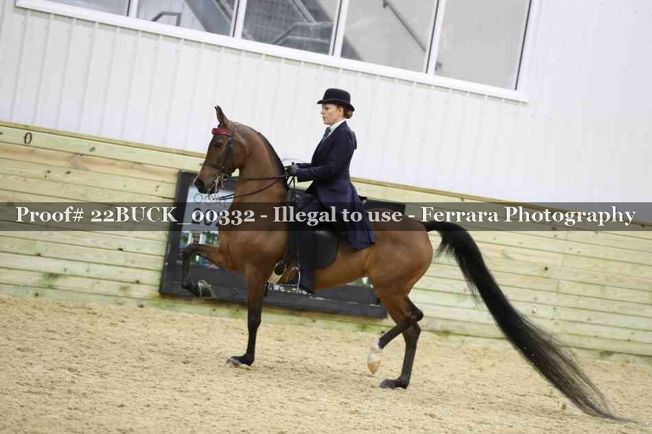 Proof 22BUCK_00332