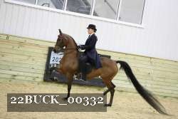 22BUCK_00332 proof