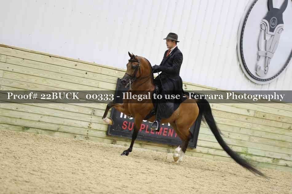 Proof 22BUCK_00333