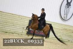 22BUCK_00333 proof