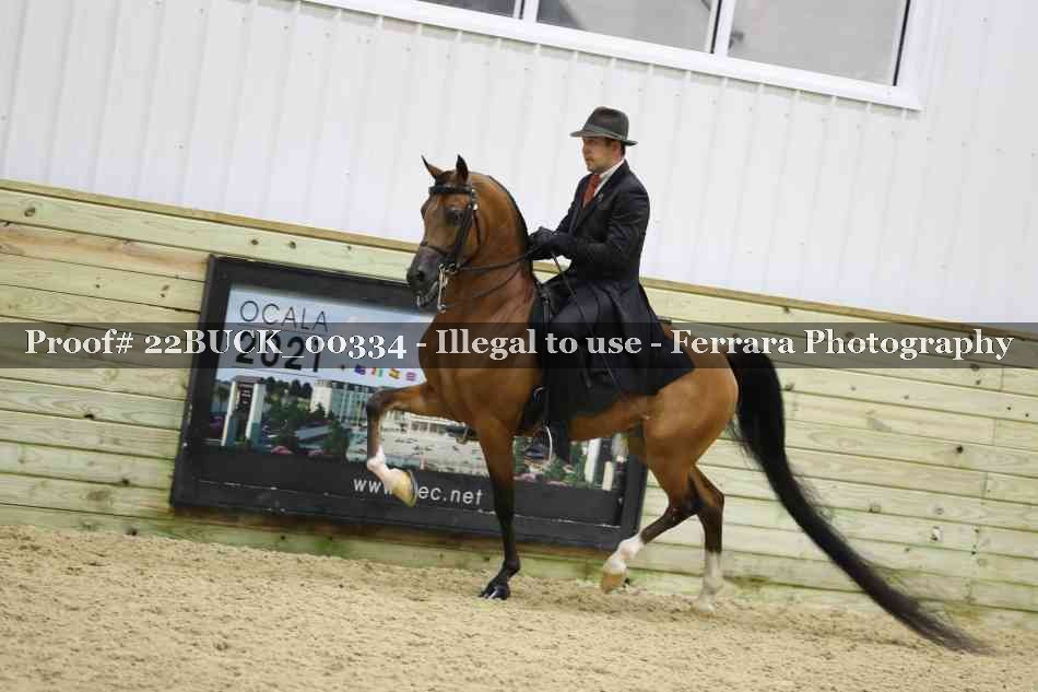 Proof 22BUCK_00334