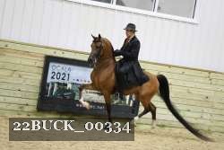 22BUCK_00334 proof