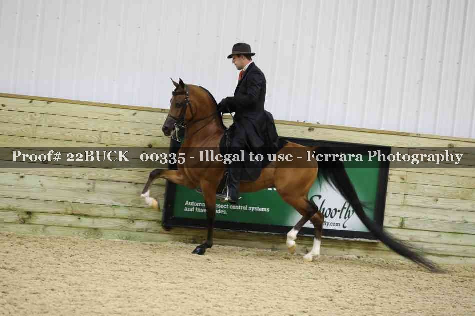 Proof 22BUCK_00335