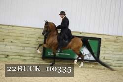 22BUCK_00335 proof