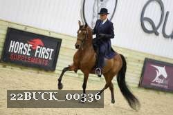 22BUCK_00336 proof