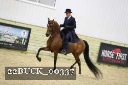 22BUCK_00337 proof