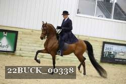 22BUCK_00338 proof
