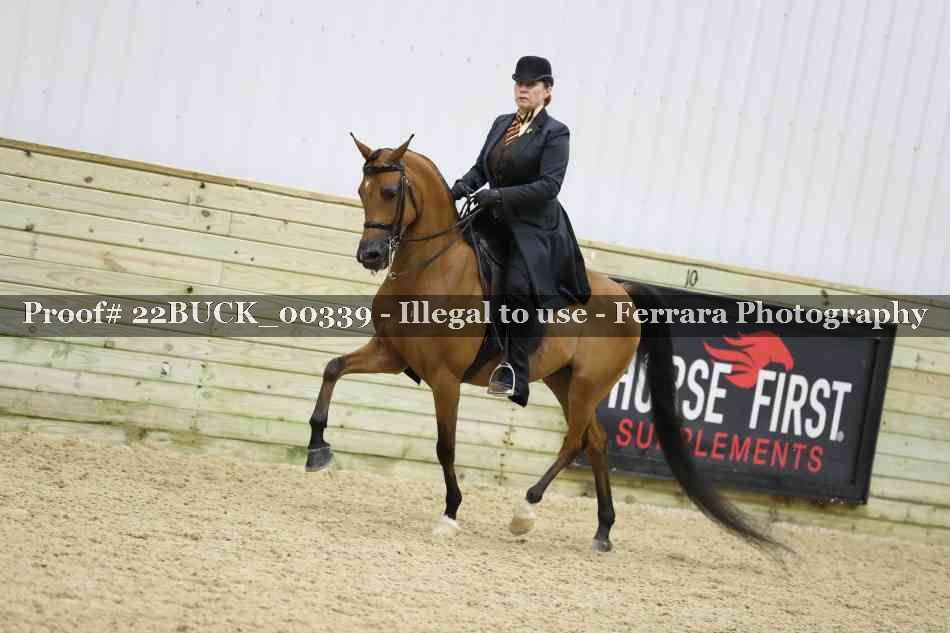 Proof 22BUCK_00339