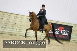 22BUCK_00339 proof