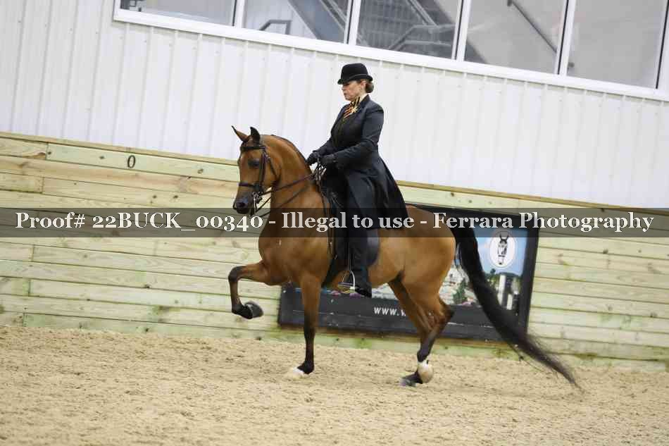 Proof 22BUCK_00340