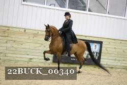 22BUCK_00340 proof