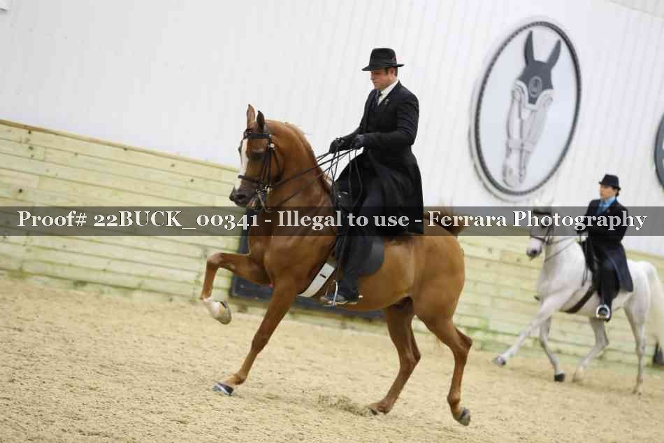 Proof 22BUCK_00341