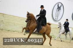 22BUCK_00341 proof