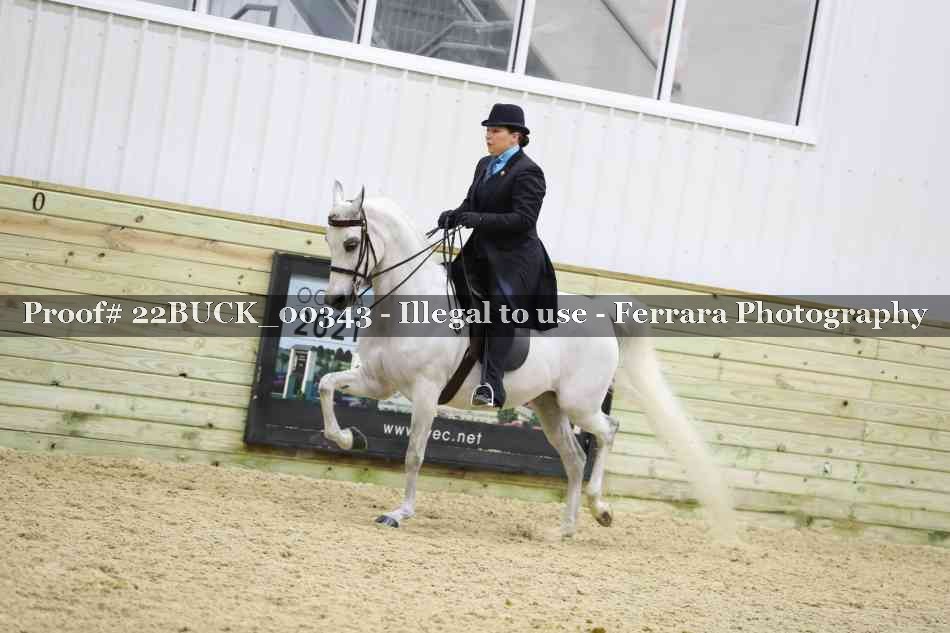 Proof 22BUCK_00343