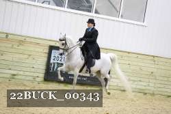 22BUCK_00343 proof