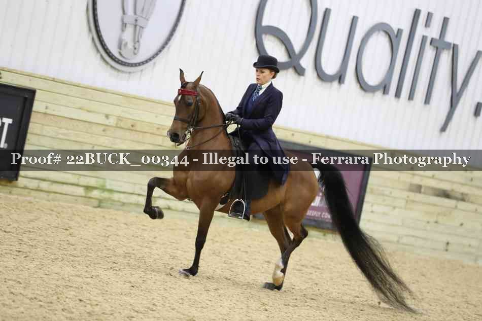 Proof 22BUCK_00344