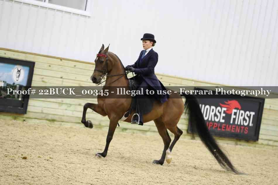 Proof 22BUCK_00345
