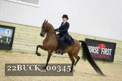 22BUCK_00345 proof