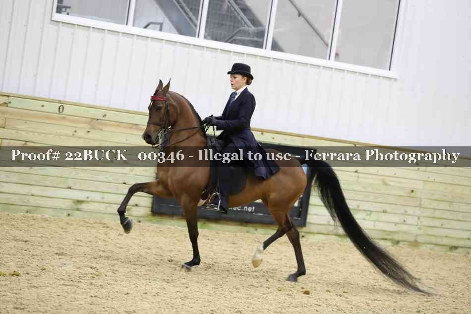 Proof 22BUCK_00346