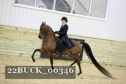 22BUCK_00346 proof