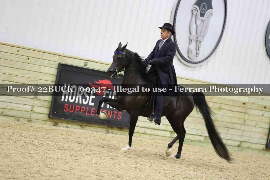 Proof 22BUCK_00347