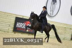 22BUCK_00347 proof