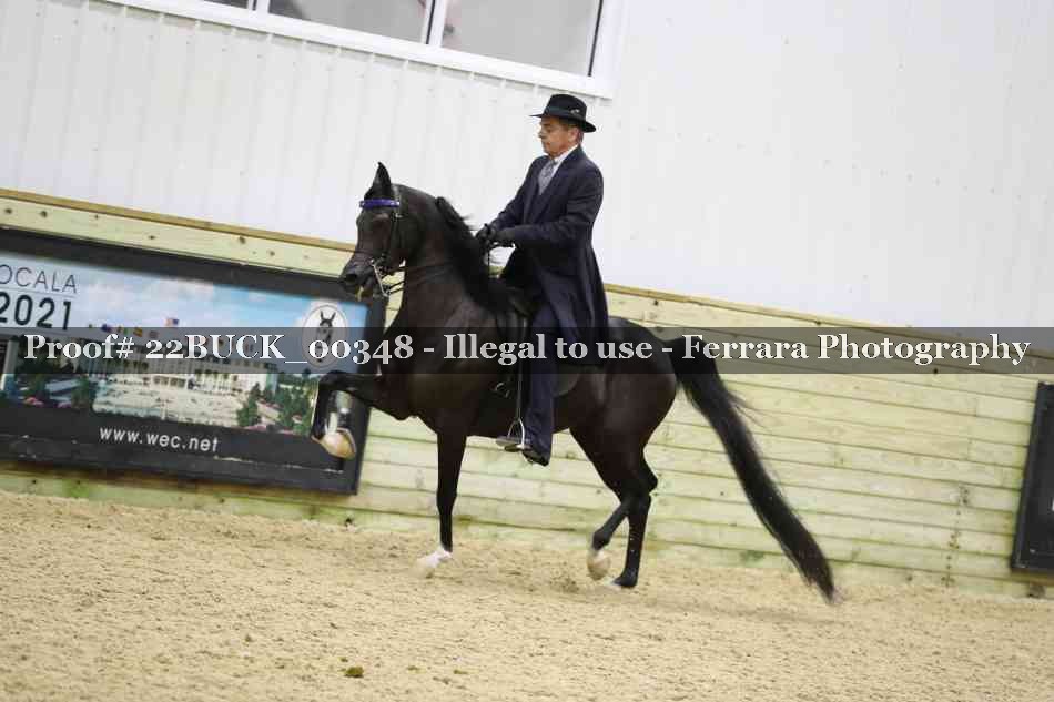 Proof 22BUCK_00348