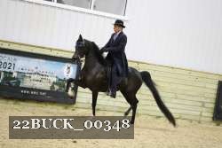 22BUCK_00348 proof