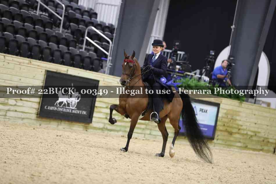 Proof 22BUCK_00349