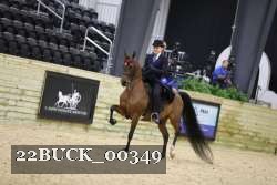 22BUCK_00349 proof