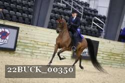 22BUCK_00350 proof