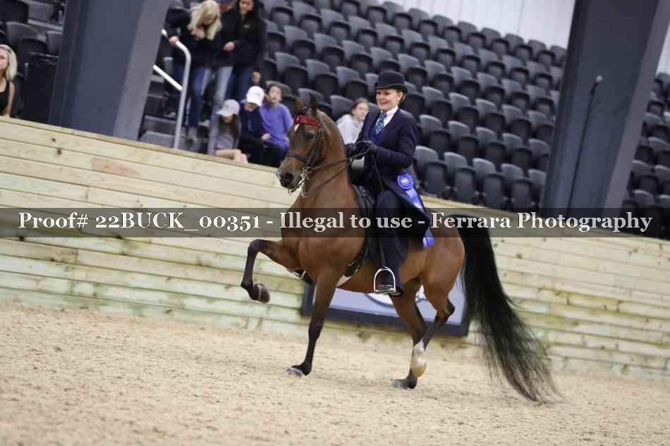 Proof 22BUCK_00351