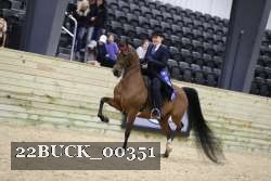 22BUCK_00351 proof