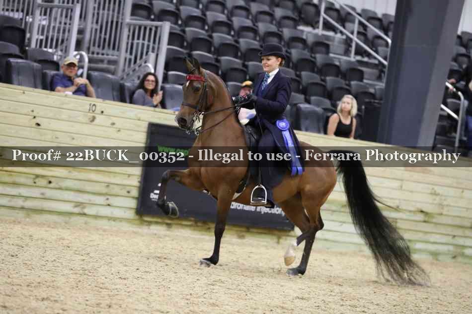 Proof 22BUCK_00352