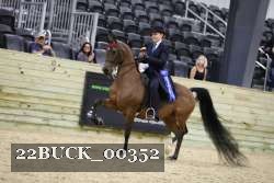 22BUCK_00352 proof