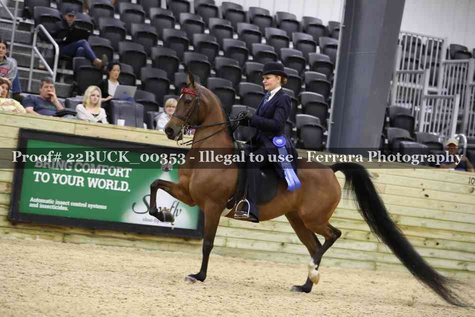 Proof 22BUCK_00353