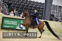 22BUCK_00353 proof