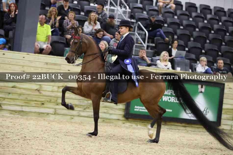 Proof 22BUCK_00354