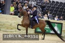22BUCK_00354 proof