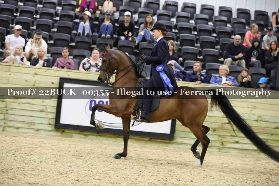 Proof 22BUCK_00355