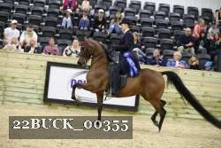 22BUCK_00355 proof
